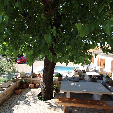 Apartments Vesna With Pool - New! Sveti Lovreč Pazenatički Exterior foto